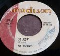 The Viscounts-Wabash Blues / So Slow