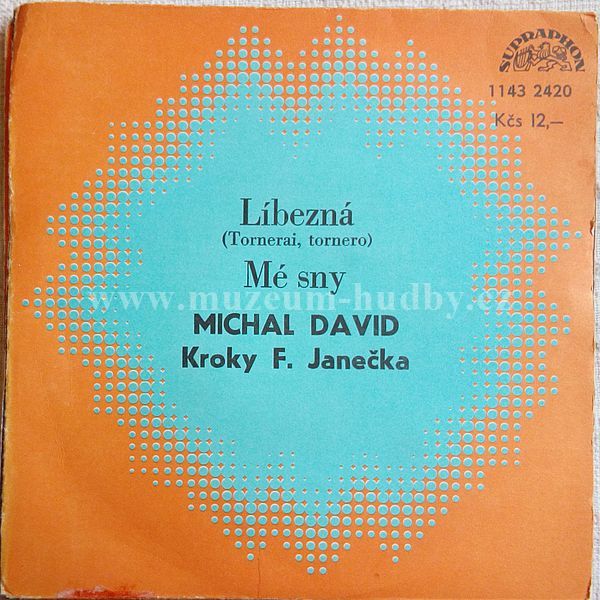 Michal David, Kroky F. Janečka