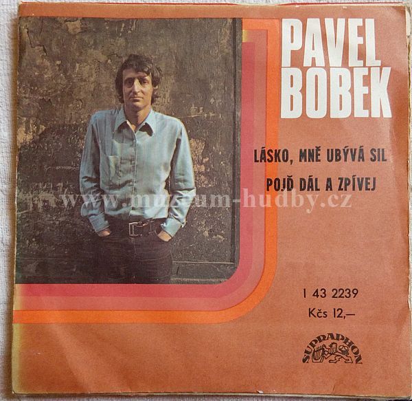 Pavel Bobek