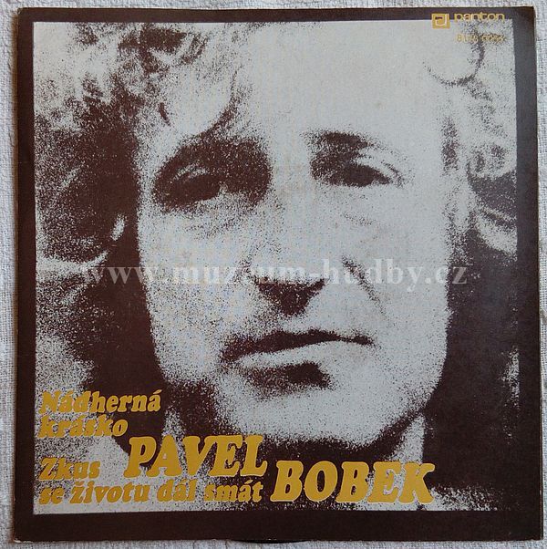 Pavel Bobek