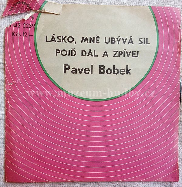 Pavel Bobek