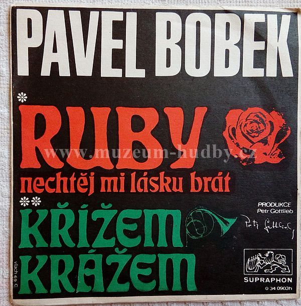 Pavel Bobek