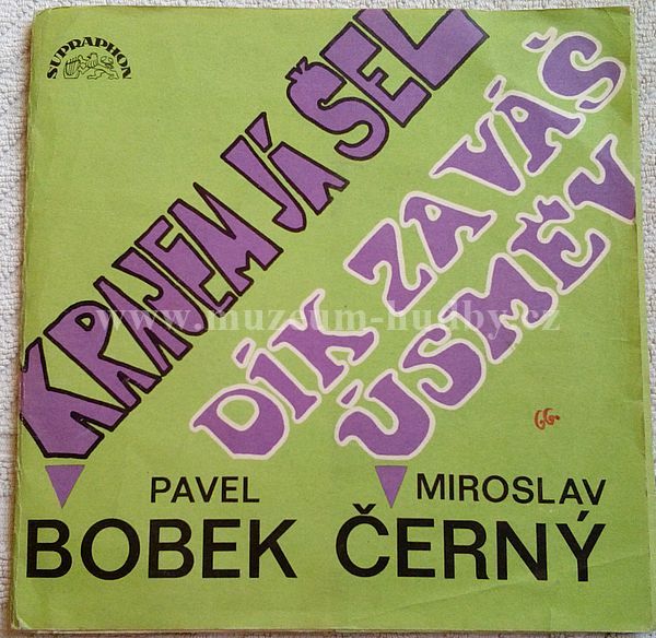 Pavel Bobek / Miroslav Černý
