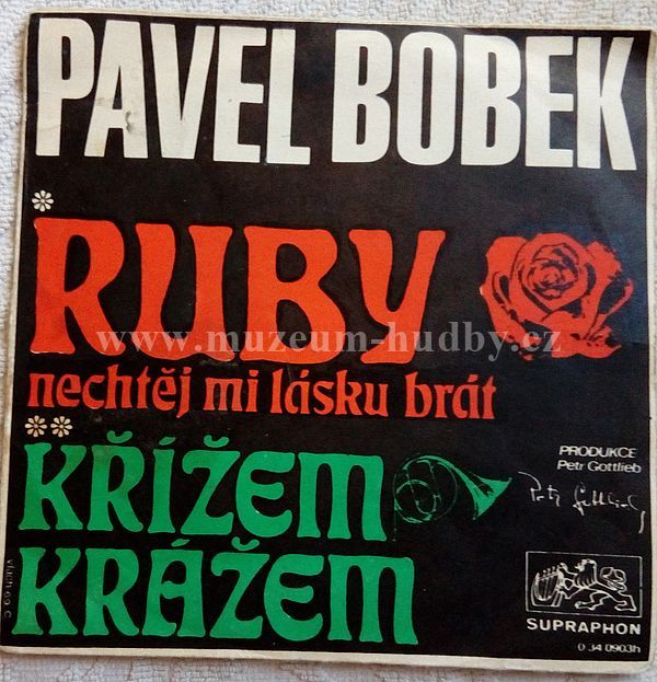Pavel Bobek ‎
