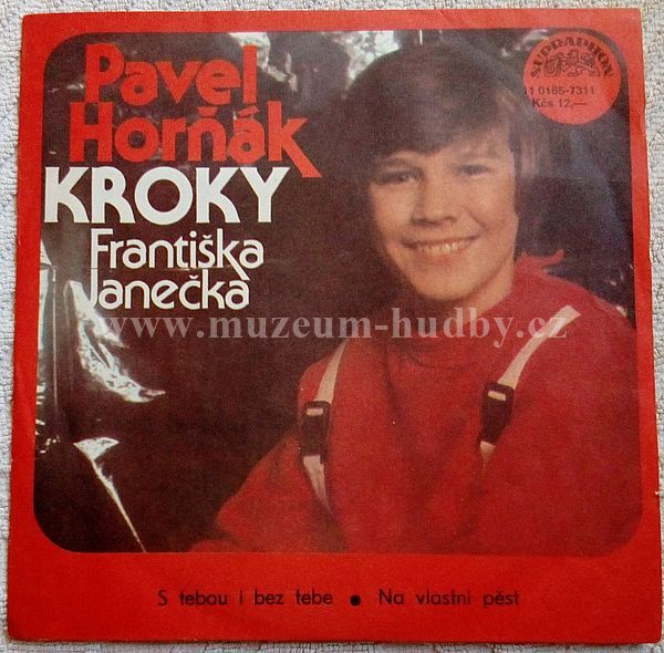 Pavel Horňák & Kroky Františka Janečka