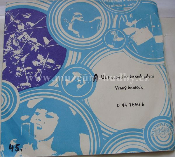 Pošumavská Dechovka Lesanka