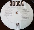 Sting ‎-The Dream Of The Blue Turtles
