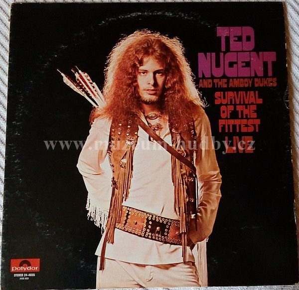 Ted Nugent And The Amboy Dukes