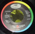 The Smithereens-Only A Memory / The Seeker