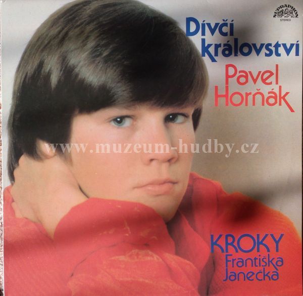 Pavel Horňák / Kroky Františka Janečka