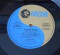 Judi Pulver-Pulver Rising
