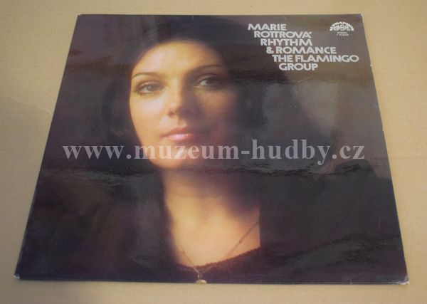 Marie Rottrová, The Flamingo Group
