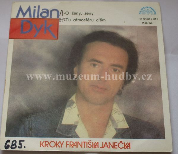 Milan Dyk, Kroky Františka Janečka