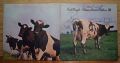 Pink Floyd-Atom Heart Mother