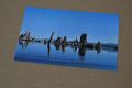 Pink Floyd-Wish You Were Here