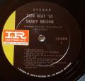 Sandy Nelson-Teen Beat '65