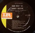 Sandy Nelson-Teen Beat '65