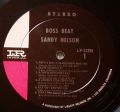 Sandy Nelson-Boss Beat