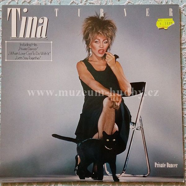 Tina Turner