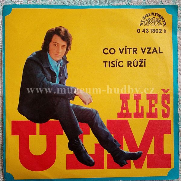 Aleš Ulm