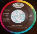 Ann Wilson-The Best Man In The World