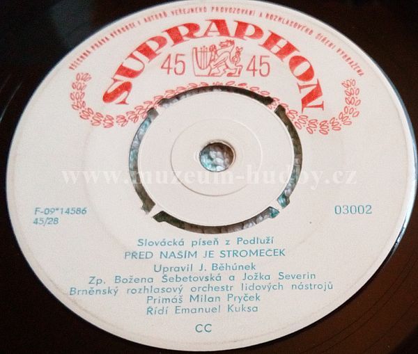 Božena Šebetovská A Jožka Severin