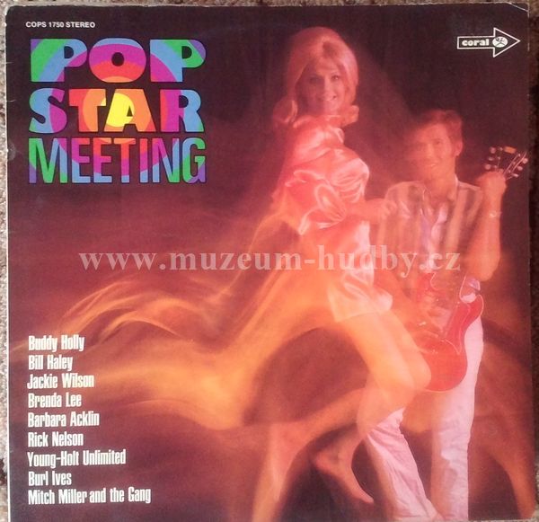 Buddy Holly / Ricky Nelson / Bill Haley And His Comets / ...