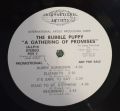 Bubble Puppy-Gathering Of Promises