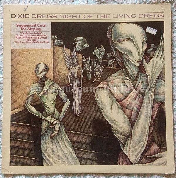 Dixie Dregs