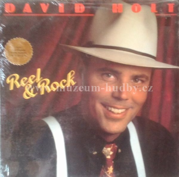 David Holt