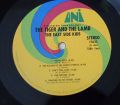 East Side Kids-Tiger And The Lamb