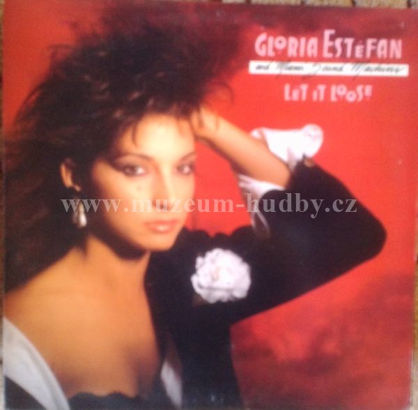 Gloria Estefan And Miami Sound Machine
