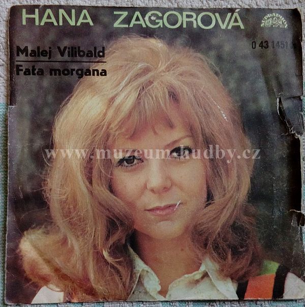 Hana Zagorová ‎