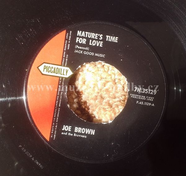 Joe Brown And The Bruvvers