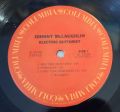 Johnny McLaughlin-Electric Guitarist