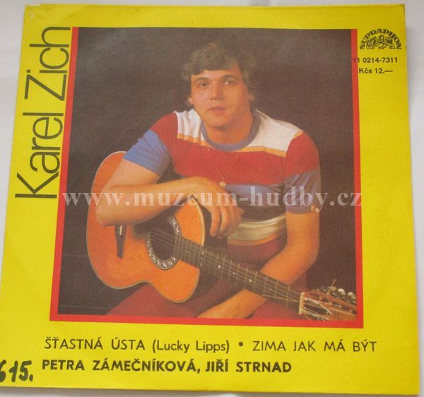 Karel Zich / Petra Zámečníková, Jiří Strnad