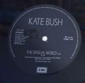 Kate Bush-Sensual World