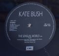 Kate Bush-Sensual World