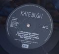 Kate Bush-Sensual World