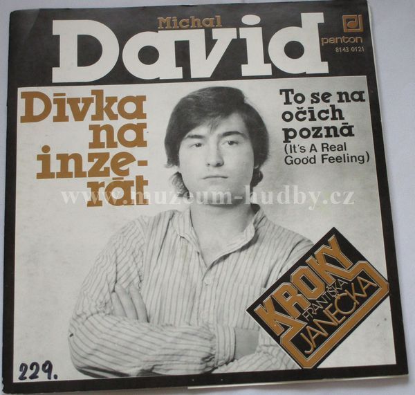 Michal David, Kroky Františka Janečka