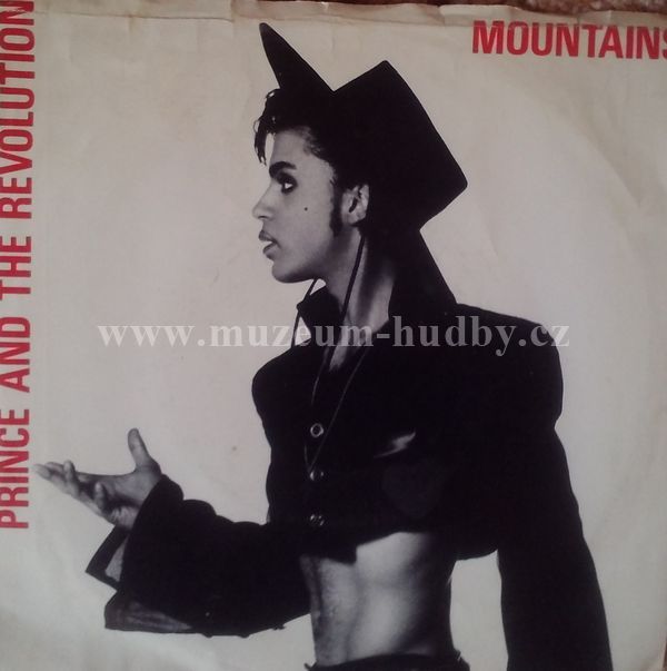 Prince And The Revolution