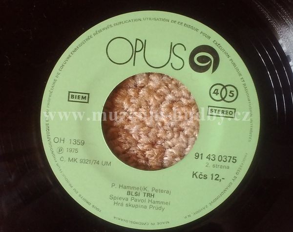 Pavol Hammel, Prúdy