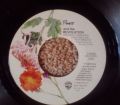 Prince-When Doves Cry / 17 Days
