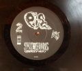 Pig-Sick City / Shit For Brains