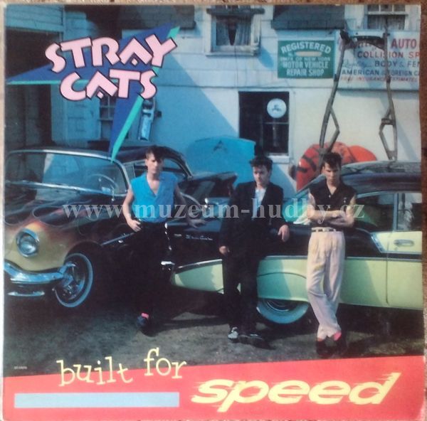 Stray Cats