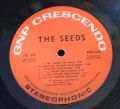Seeds-Web Of Sound