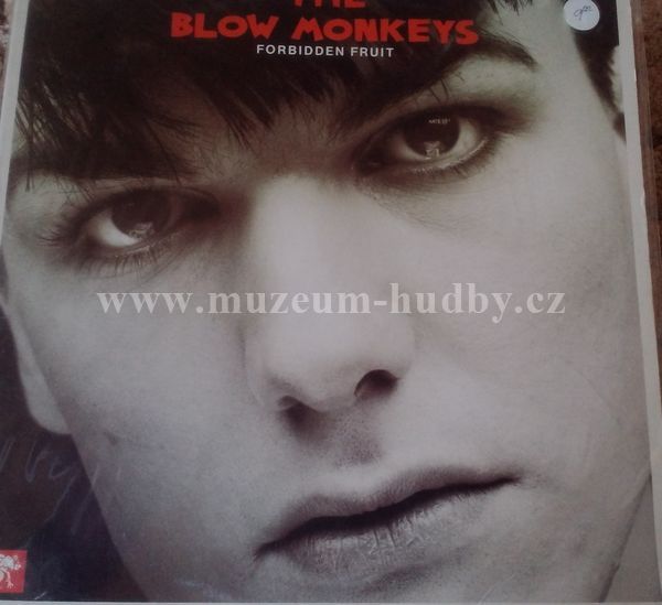 The Blow Monkeys