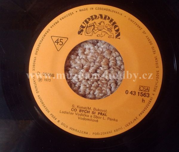 Vodomilové, Ladislav Vodička