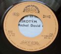 Diskotým ‎– Heslo Dnešní-Koktejl Z Třešní / Chcem Žít Bez Obav