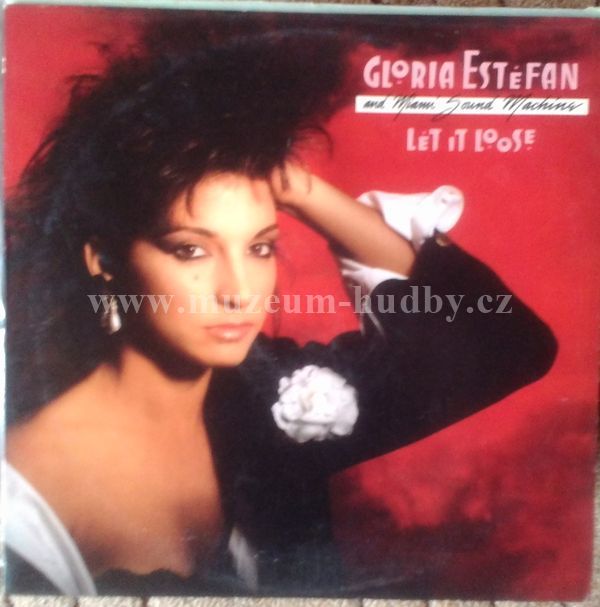 Gloria Estefan And Miami Sound Machine